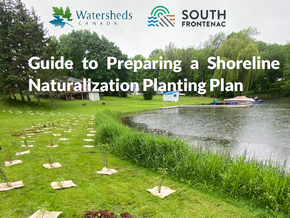 Cover of Guide to developing a shoreline protection plan
