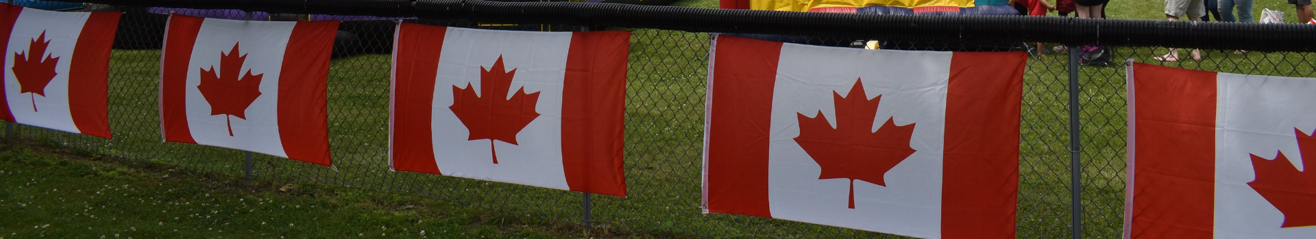 canada flags