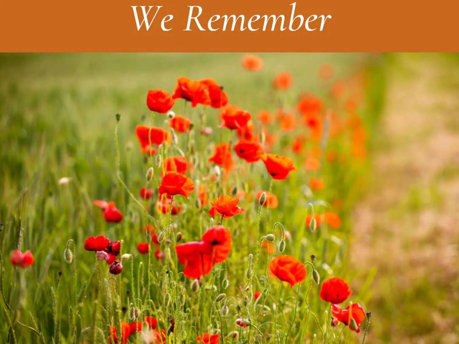 News Township Of South Frontenac news-township-of-south-frontenac