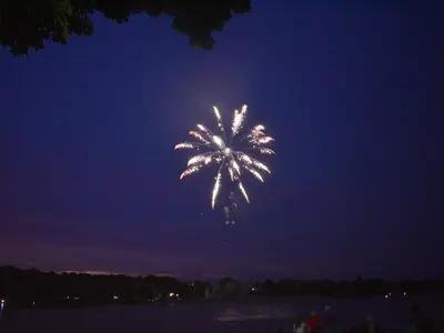 A firework exploding in the sky.