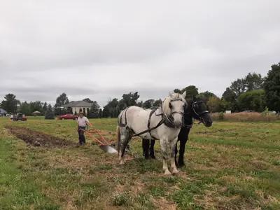 Frontenac County Plowing Match