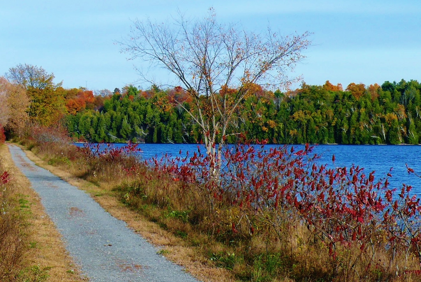 Cataraqui Trail